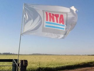 El INTA bajo la motosierra: ajuste laboral y venta de tierras
