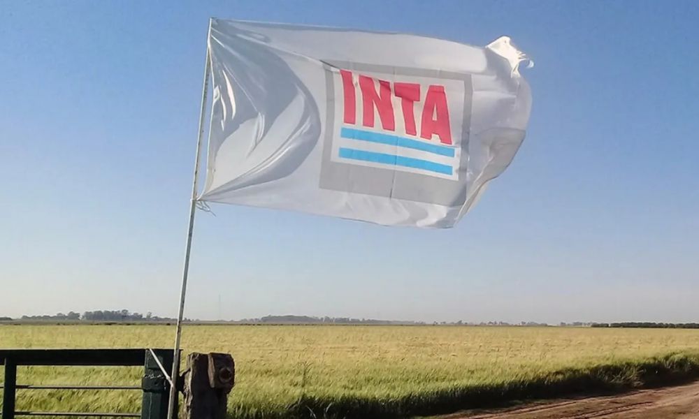 El INTA bajo la motosierra