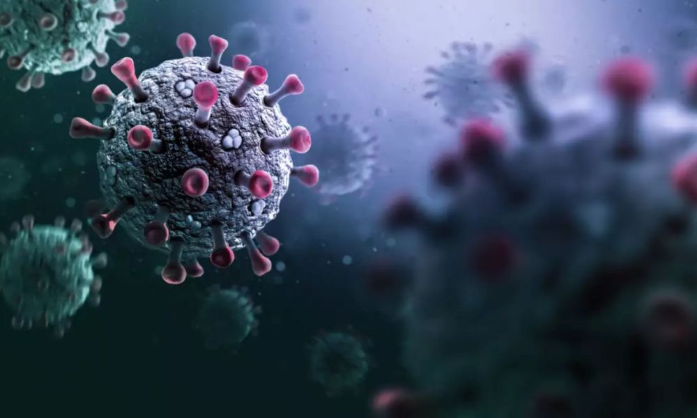 La variante K del H3N2 sacude a Europa