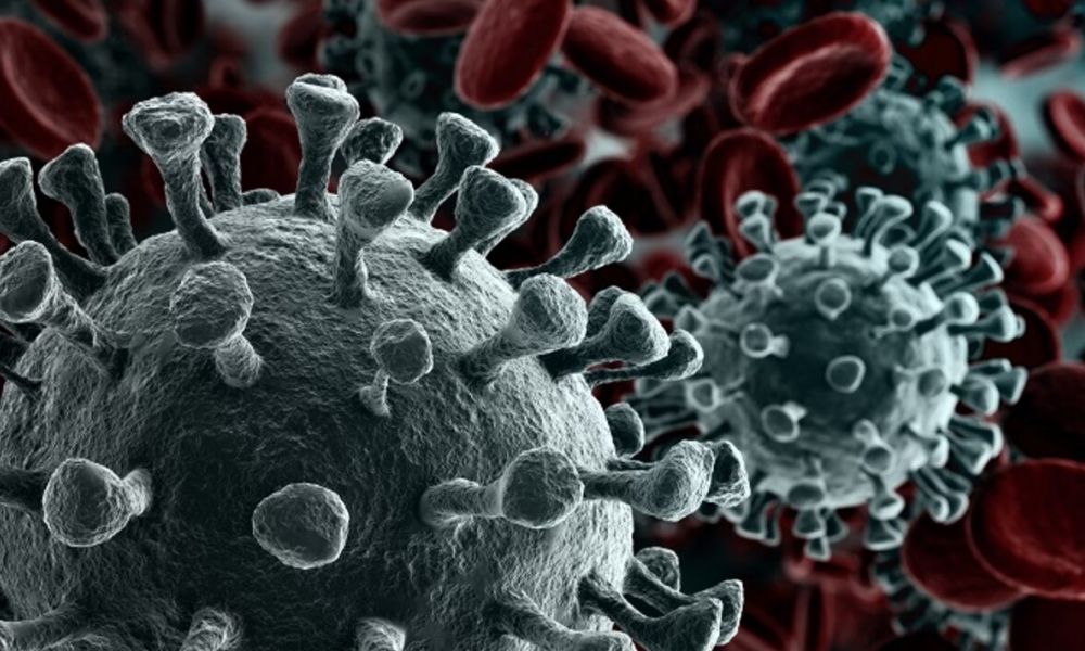 Coronavirus
