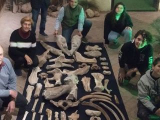 San Pedro: descubren un centenar de fósiles de animales prehistóricos