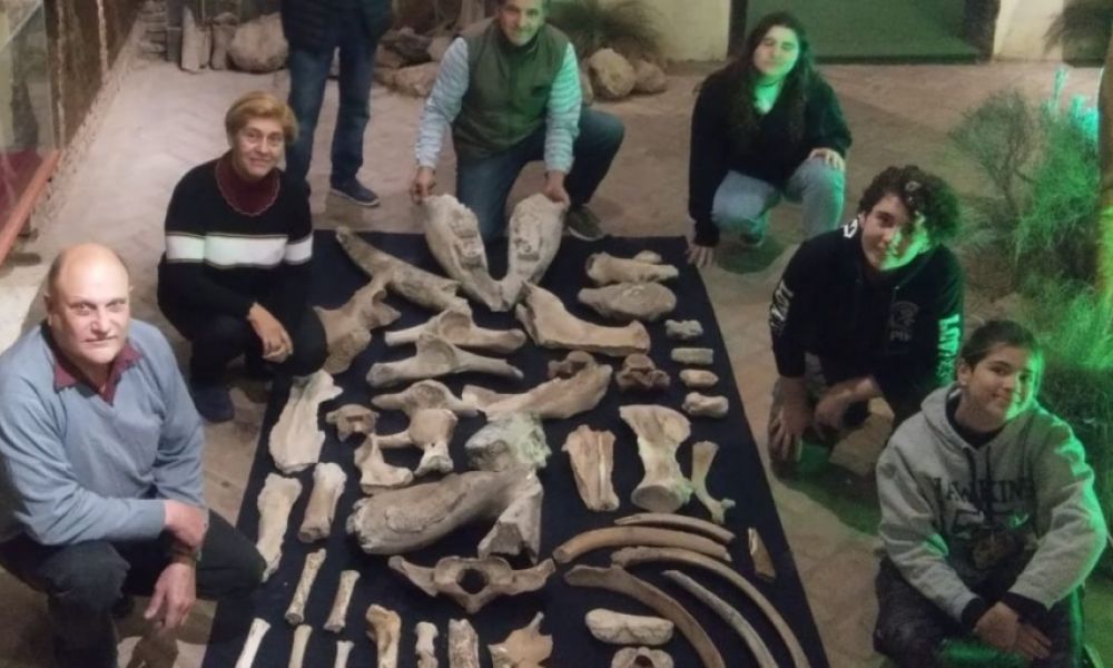 Descubren un centenar de fósiles en San Pedro