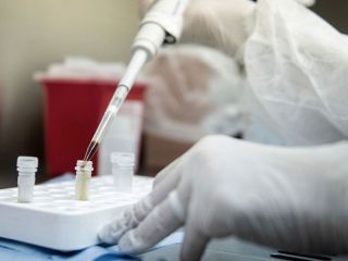 Covid-19: Marcha atr�s con la vacuna de Oxford por posibles efectos adversos