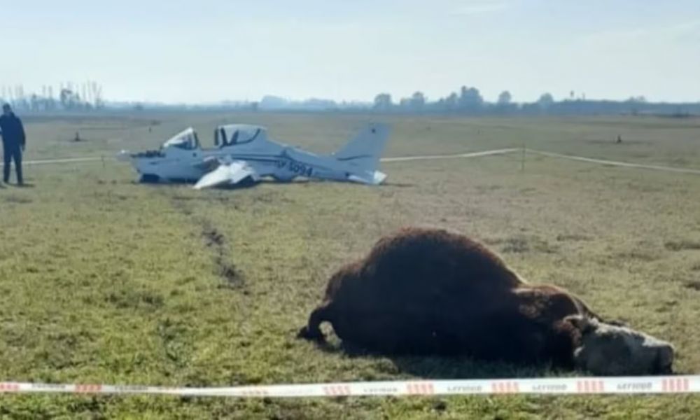 Insólito choque con un avión durante un aterrizaje