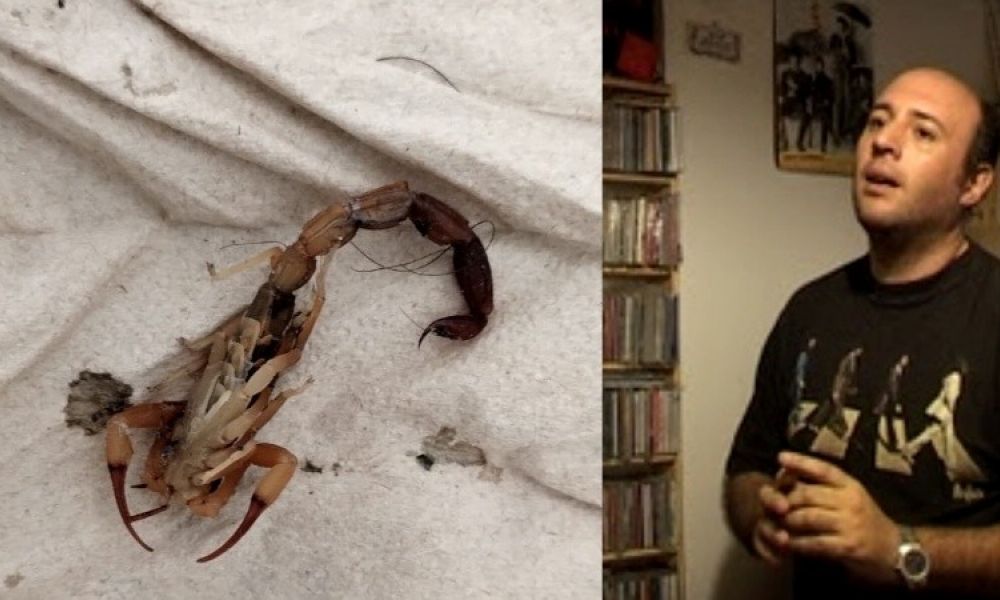 Toto Borderi fue picado por un alacrán