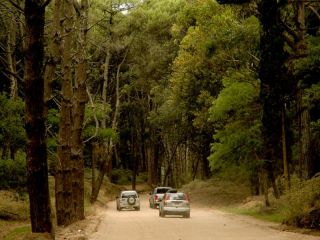 Un Caril cercado? El polmico proyecto para alambrar la frontera con Villa Gesell vuelve a encender tensiones