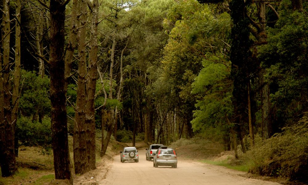 ¿Un Cariló cercado?