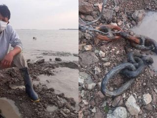 Un pescador encontr restos de cadenas que habran sido utilizadas en la Batalla de la Vuelta de Obligado