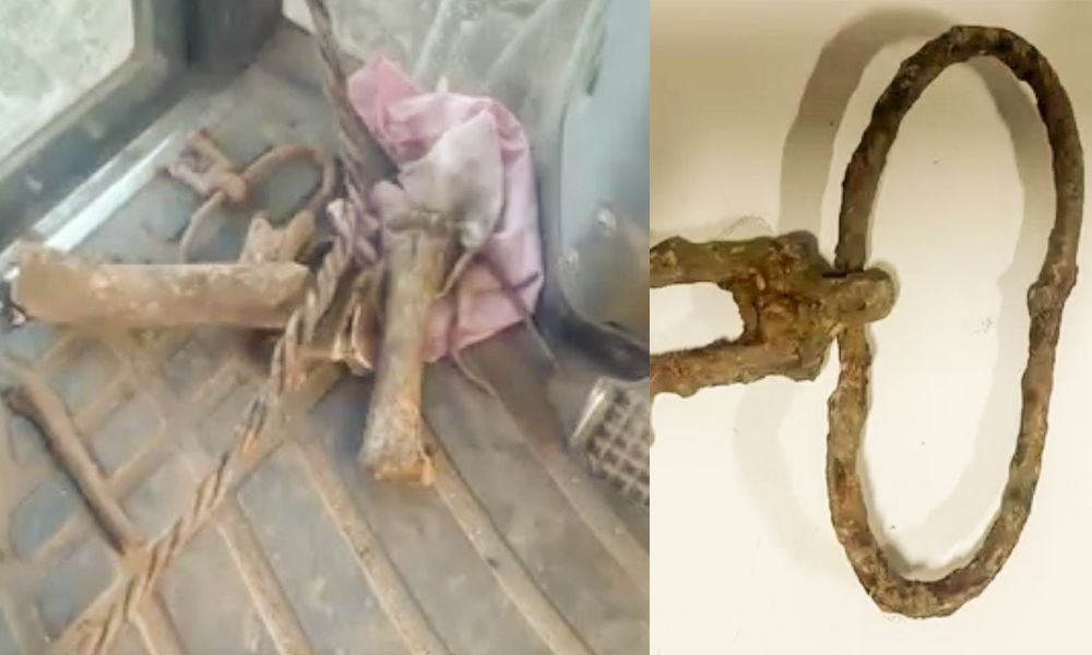 Hallazgo de huesos en INTA Pergamino