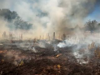 Bomberos en alerta: El calor extremo y la imprudencia multiplican los incendios