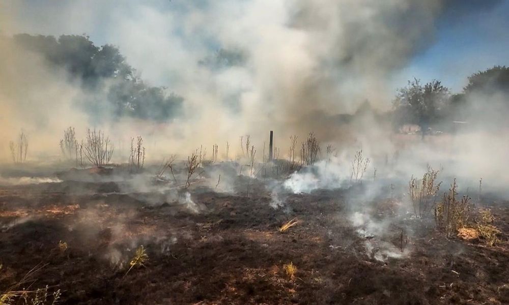 El calor extremo y la imprudencia multiplican los incendios