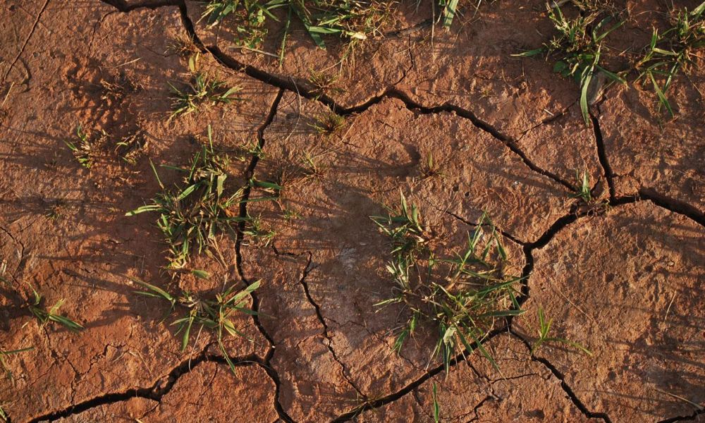 Pronostican que la sequía seguirá el menos hasta marzo