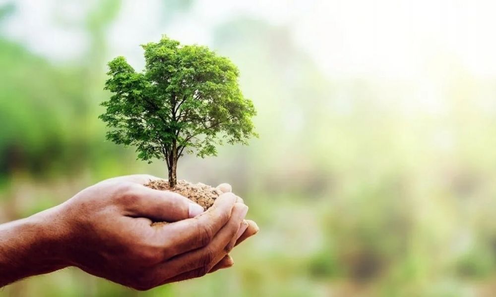 Pergamino celebra la naturaleza con evento ecológico