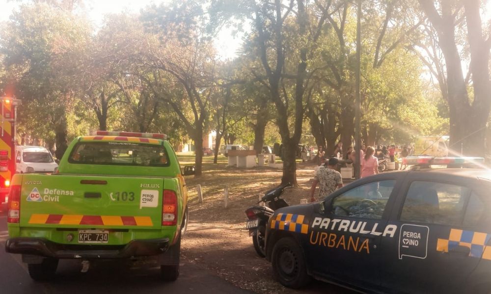 Cae parte de un árbol sobre personas en el Parque Municipal