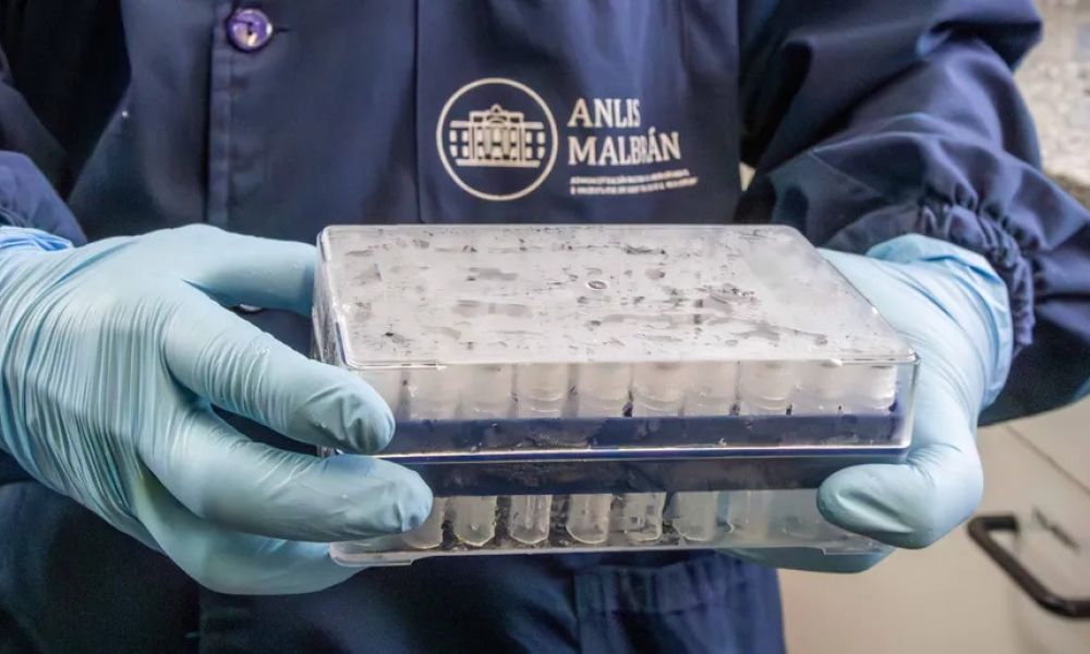 Argentina envía ayuda sanitaria a Europa y África