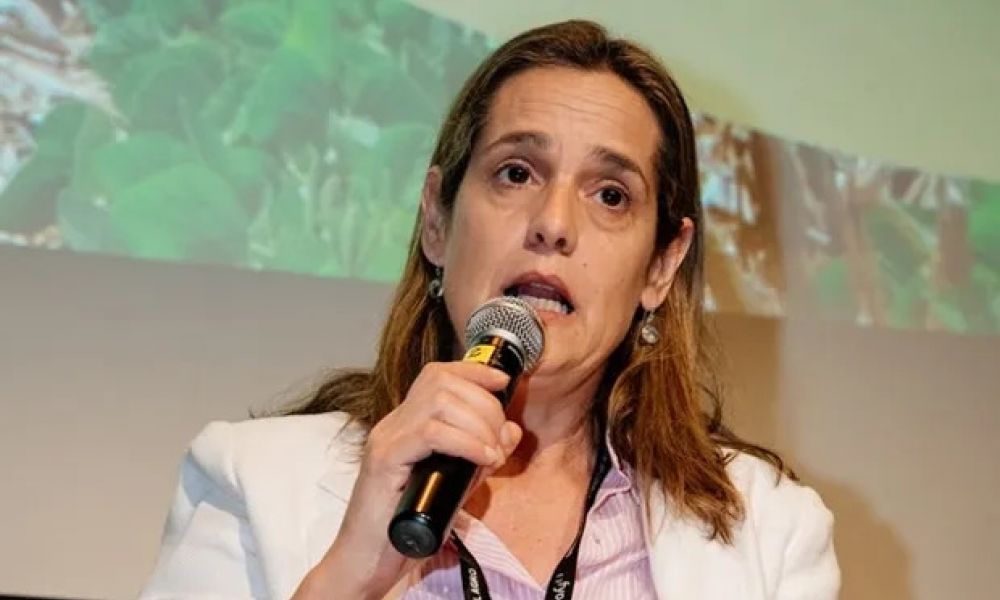 Andrea Sarnari