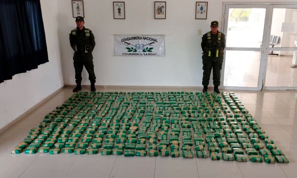 Gendarmería descubre un cargamento de hojas de coca