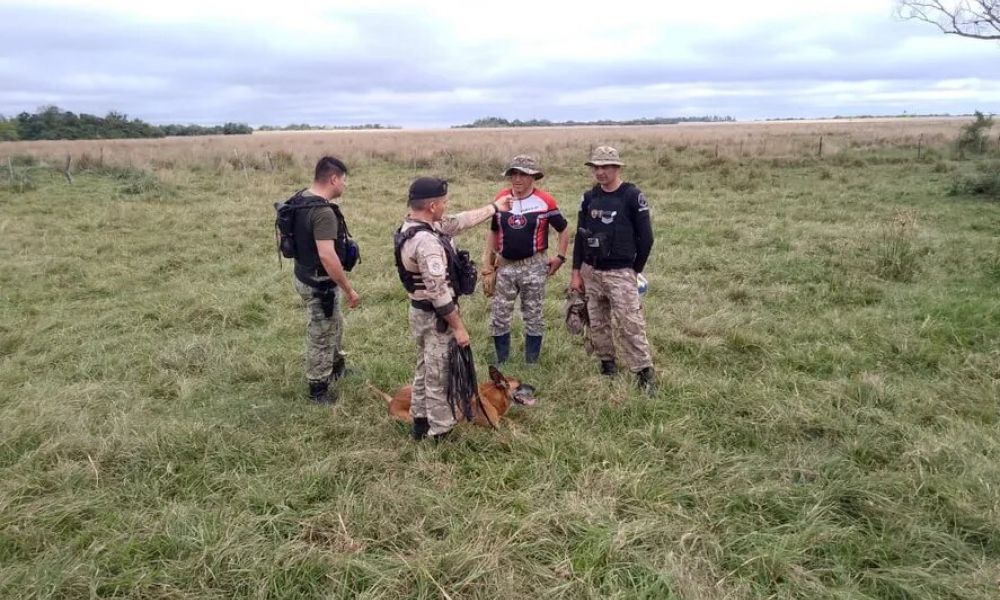 Canes especializados del SPB se unen a la búsqueda de Loan