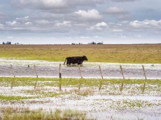 La provincia en alerta: Casi 1,5 millones de hectreas bajo agua y riesgo de superar los 3 millones