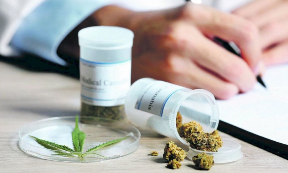 Sistema de Registro del Programa de Cannabis