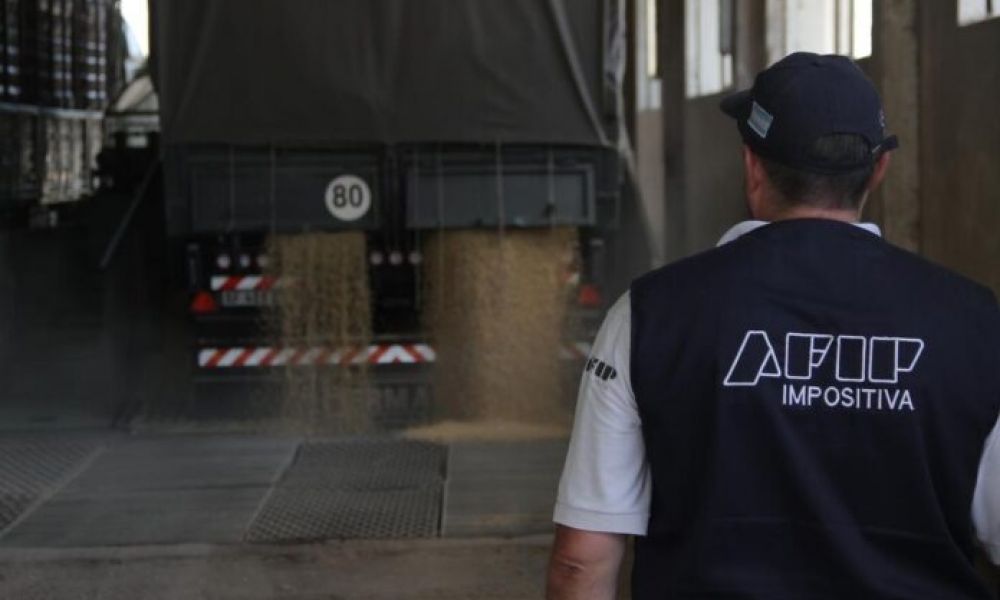 La AFIP secuestró maíz por más de $42 millones
