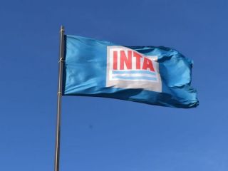 Despidos en organismos clave: El Gobierno avanza con INTA, INASE e INV pese al rechazo del Senado