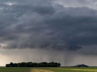 Lluvias generalizadas mejoraron la situacin agrcola en once provincias