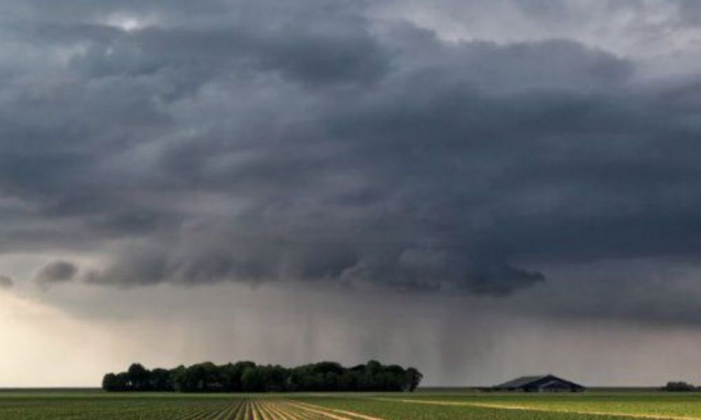 Lluvias generalizadas mejoraron la situación agrícola