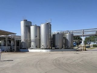 Quiebra total de ARSA: La histrica productora de yogures SanCor cierra sus plantas y despide a cientos de trabajadores