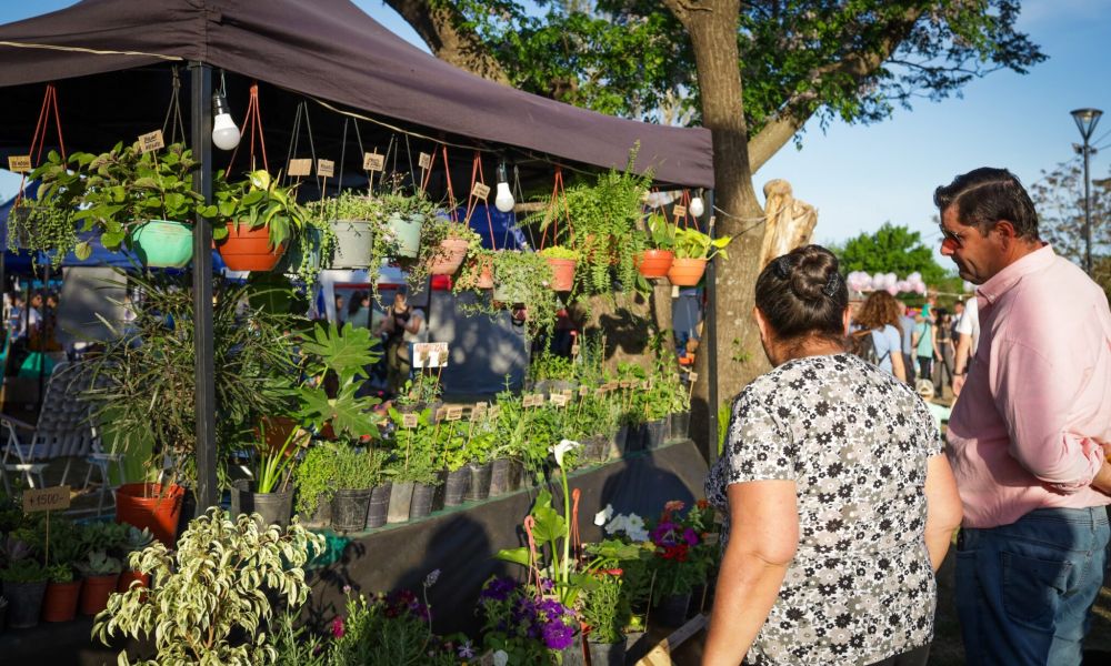 Gran éxito en la Feria de Emprendedores