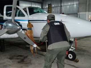 Secuestran un avin en Entre Ros que era usado por banda narco