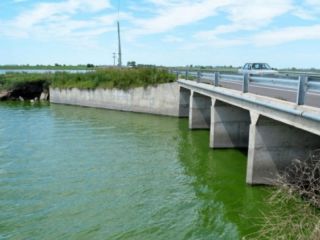 Junn: Alertan por riesgo de intoxicacin con cianobacterias en la Laguna de Gmez