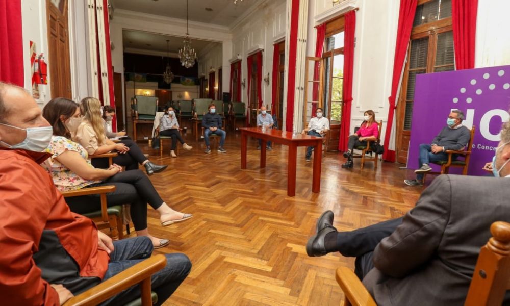 Comité de Crisis