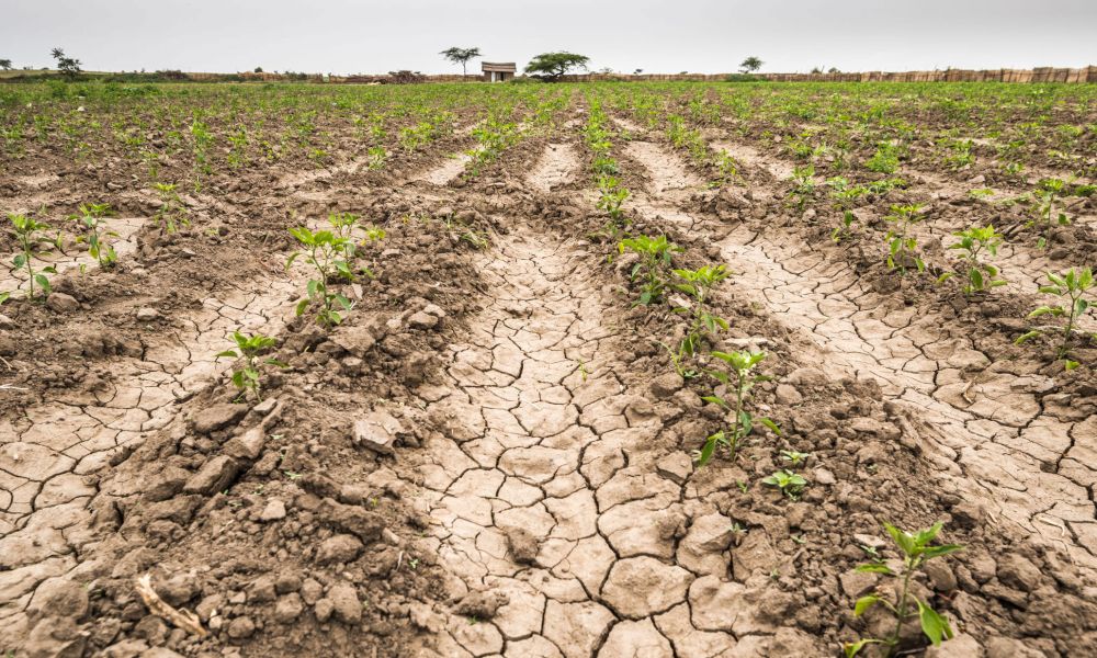 ARBA y un alivio a productores afectados por sequía