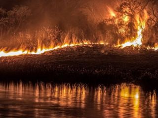 Frente a San Nicols Brigadistas de Santa Fe y Entre Ros combaten los incendios en las islas