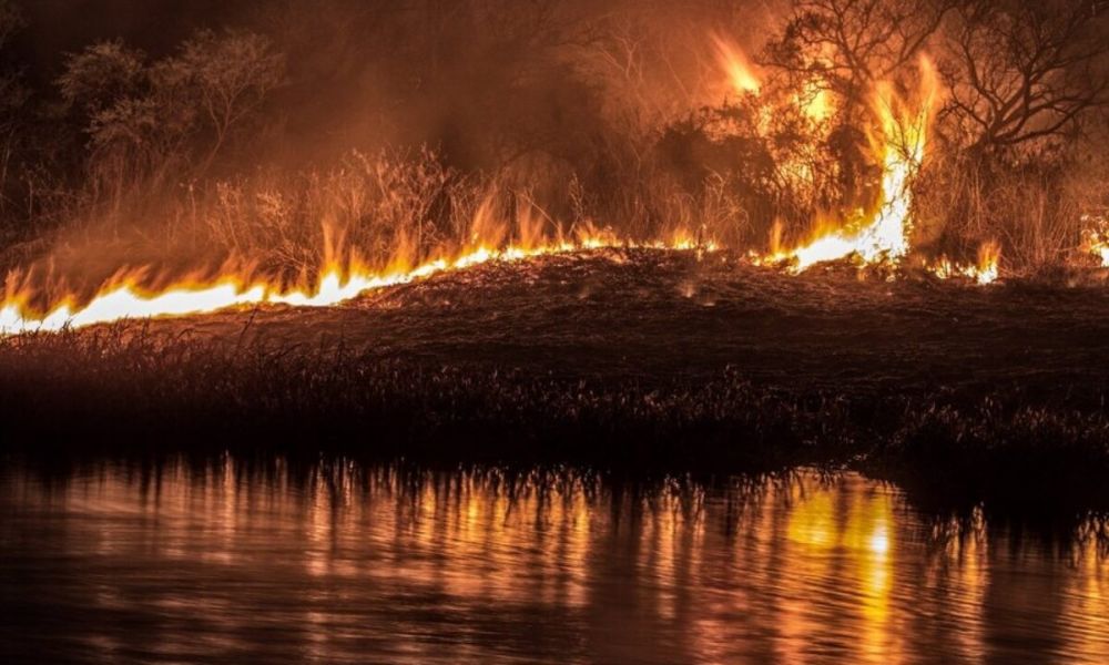 Incendio en las islas del Paraná