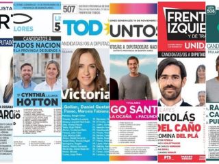 Elecciones 2021: Qu dicen las encuestas en la provincia de Buenos Aires