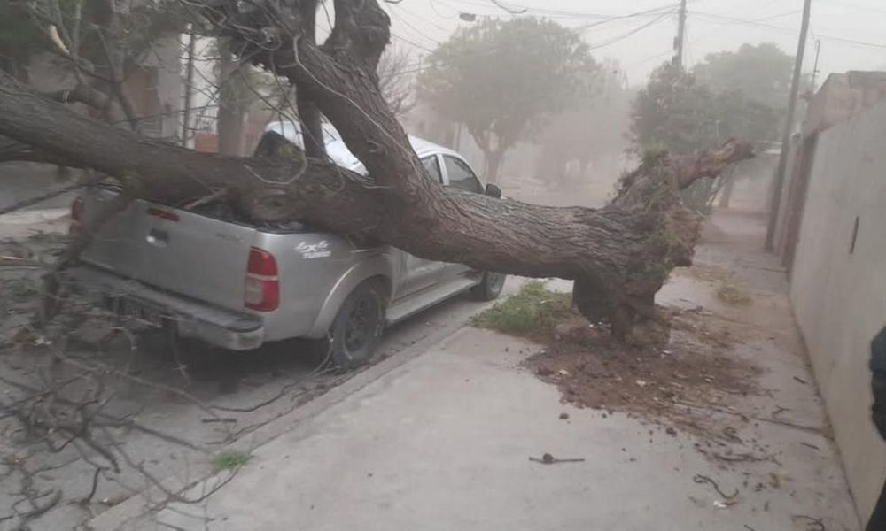 Temporal en San Luis