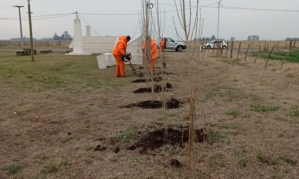 Nuevos ejemplares de árboles en Ocampo
