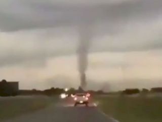 Un tornado de mosquitos apareci� en la Ruta 74 entre Pinamar y General Madariaga
