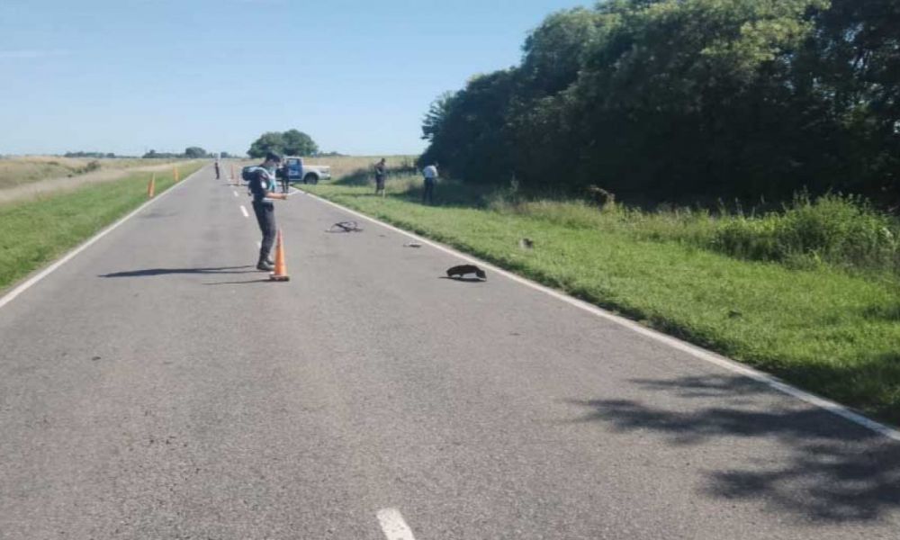 El conductor que mató a los ciclistas estaba alcoholizado