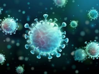 Aseguran que una infeccin por coronavirus protege tanto como la vacuna anticovid