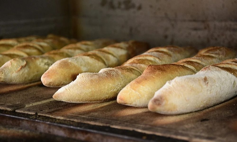 14.000 panaderías cerraron en 18 meses