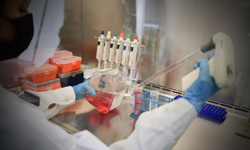 Casi 400 investigadores quedaron fuera del Conicet