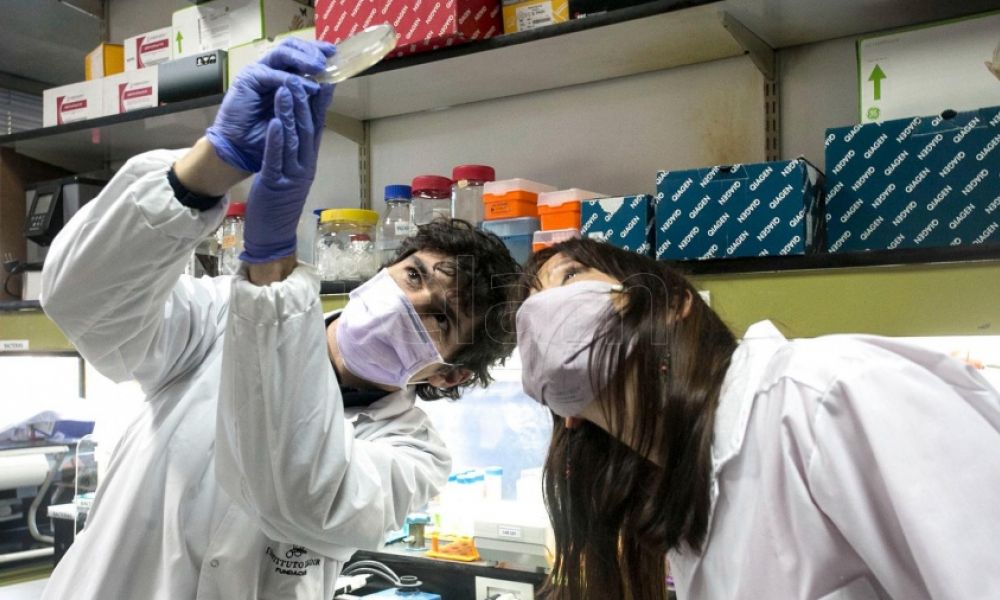 Hepatitis grave detectada en niños