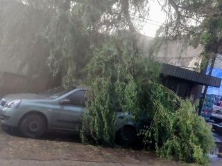 Rosario y la regin, azotadas por un feroz temporal