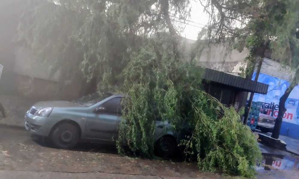 Rosario y la región, azotadas por un feroz temporal