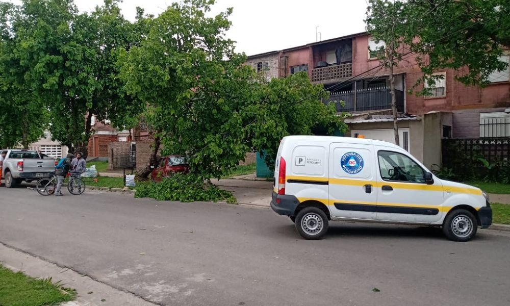 Vientos con ráfagas de 70 km causan destrozos en la ciudad