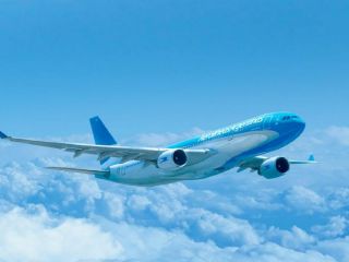 Milei anuncia decreto para privatizar Aerolneas Argentinas