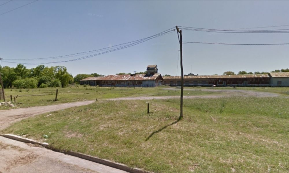 Familia abandona su casa por invasión de ratones